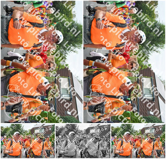Evenement foto: Nijmeegse Vierdaagse 726