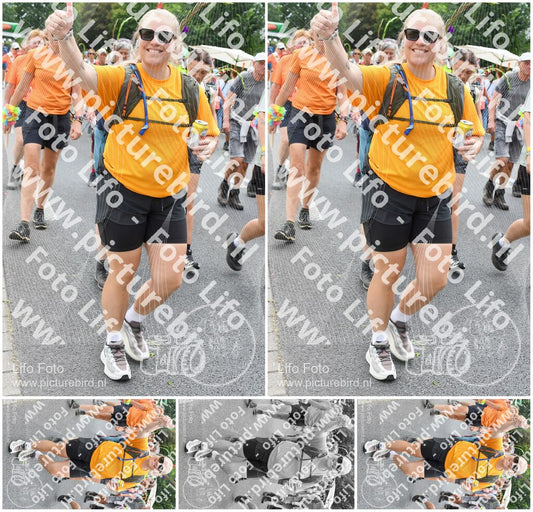 Evenement foto: Nijmeegse Vierdaagse 726