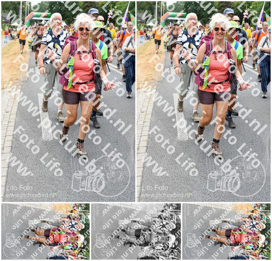 Evenement foto: Nijmeegse Vierdaagse 726