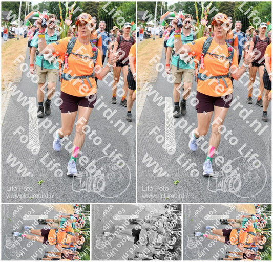 Evenement foto: Nijmeegse Vierdaagse 725
