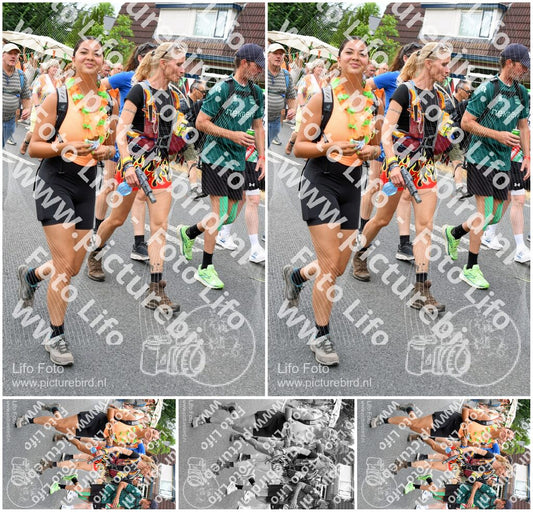 Evenement foto: Nijmeegse Vierdaagse 725