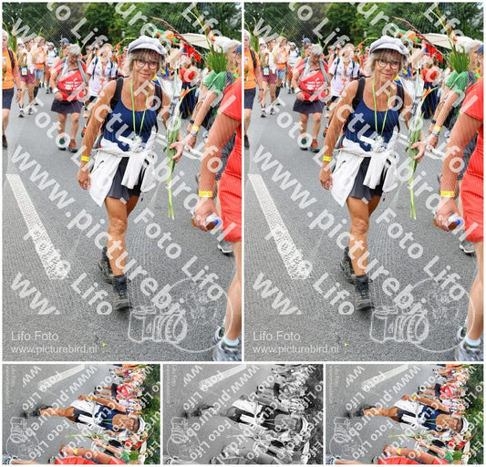 Evenement foto: Nijmeegse Vierdaagse 725