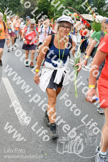 Evenement foto: Nijmeegse Vierdaagse 725