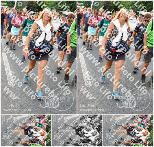 Evenement foto: Nijmeegse Vierdaagse 725