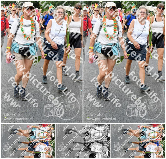 Evenement foto: Nijmeegse Vierdaagse 725