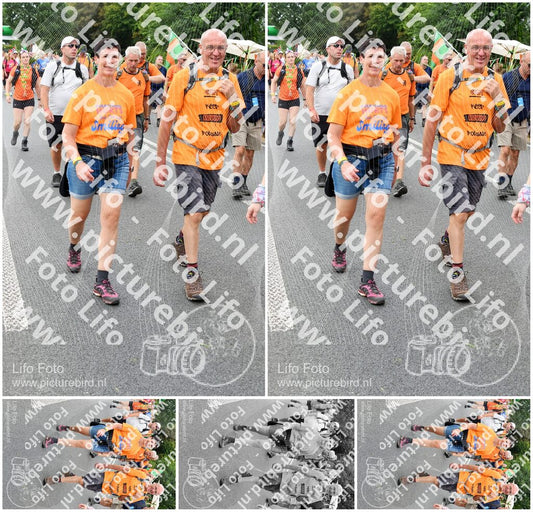 Evenement foto: Nijmeegse Vierdaagse 725