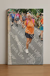 Evenement foto: Nijmeegse Vierdaagse 725
