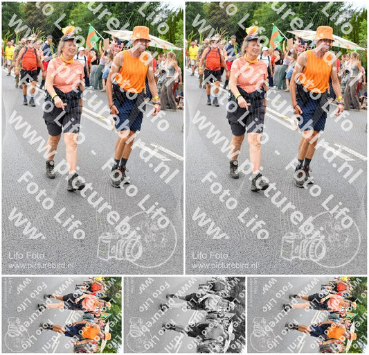 Evenement foto: Nijmeegse Vierdaagse 725