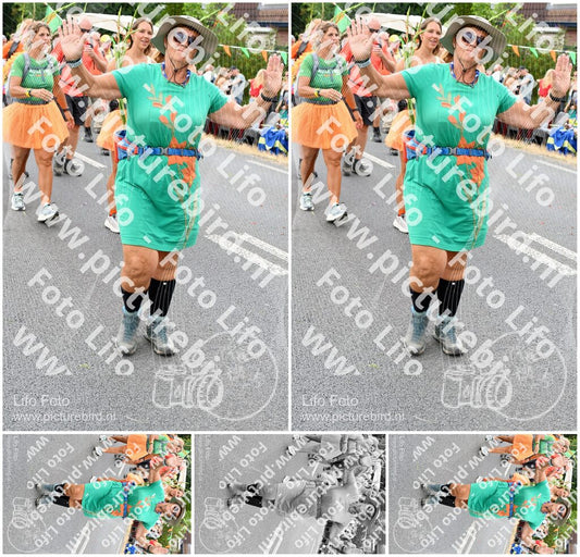 Evenement foto: Nijmeegse Vierdaagse 725