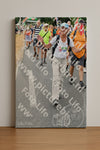 Evenement foto: Nijmeegse Vierdaagse 725