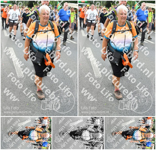 Evenement foto: Nijmeegse Vierdaagse 725
