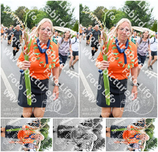 Evenement foto: Nijmeegse Vierdaagse 725