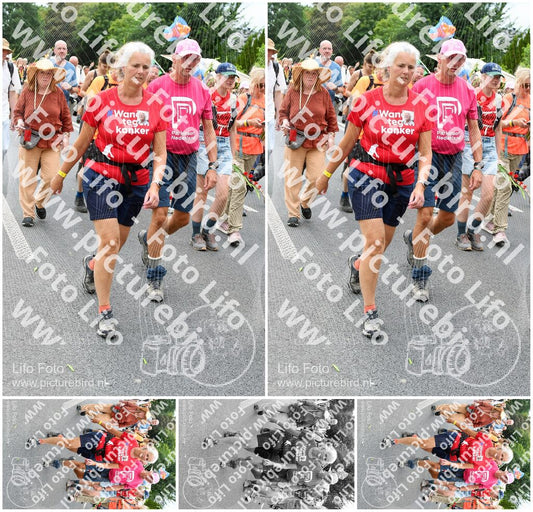 Evenement foto: Nijmeegse Vierdaagse 724