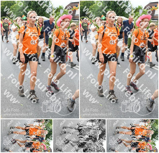Evenement foto: Nijmeegse Vierdaagse 724