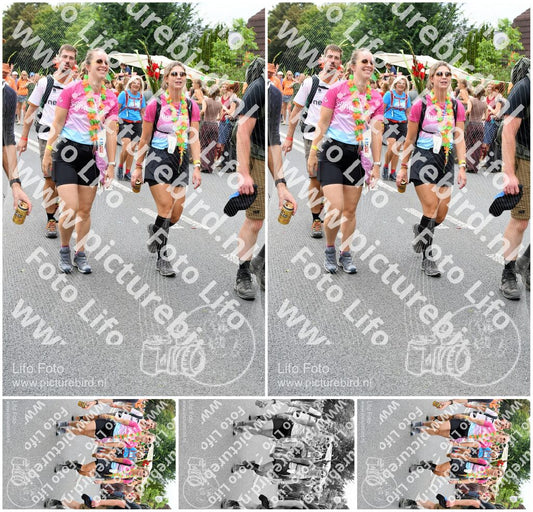 Evenement foto: Nijmeegse Vierdaagse 724