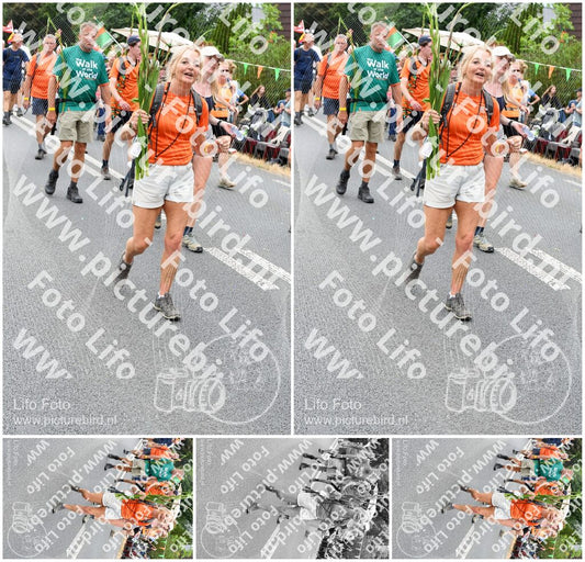 Evenement foto: Nijmeegse Vierdaagse 724