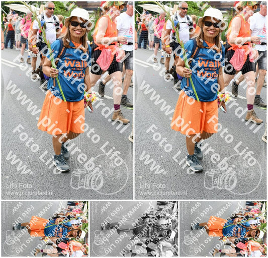 Evenement foto: Nijmeegse Vierdaagse 724
