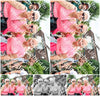 Evenement foto: Nijmeegse Vierdaagse 724