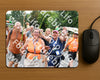Evenement foto: Nijmeegse Vierdaagse 724
