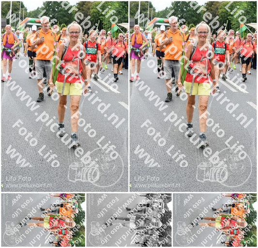 Evenement foto: Nijmeegse Vierdaagse 724