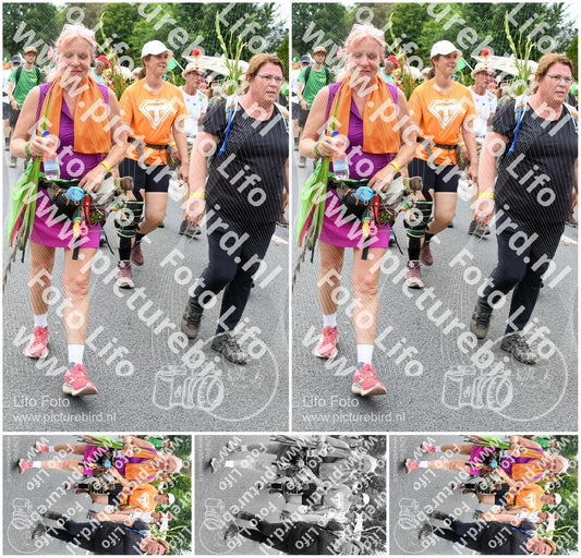 Evenement foto: Nijmeegse Vierdaagse 724