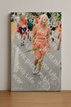 Evenement foto: Nijmeegse Vierdaagse 724