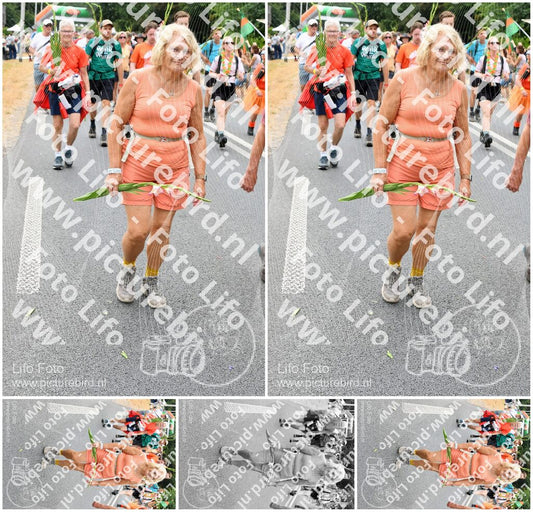 Evenement foto: Nijmeegse Vierdaagse 724