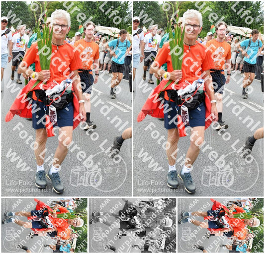 Evenement foto: Nijmeegse Vierdaagse 724