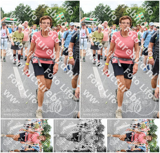 Evenement foto: Nijmeegse Vierdaagse 724