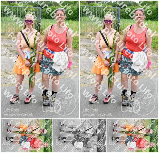 Evenement foto: Nijmeegse Vierdaagse 724