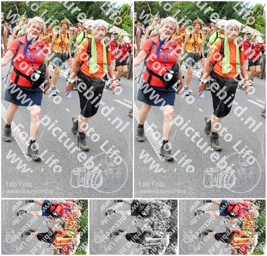 Evenement foto: Nijmeegse Vierdaagse 724