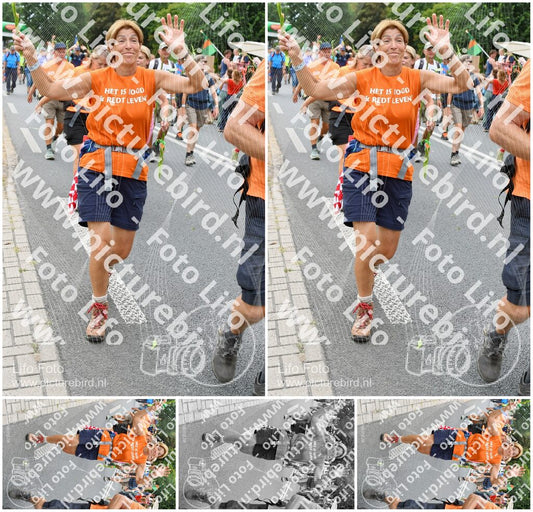Evenement foto: Nijmeegse Vierdaagse 724