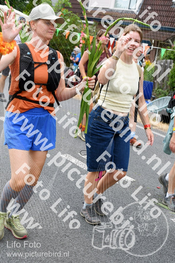 Evenement foto: Nijmeegse Vierdaagse 724