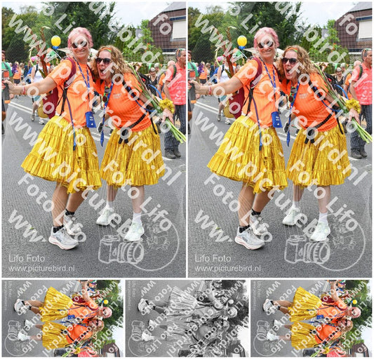 Evenement foto: Nijmeegse Vierdaagse 724