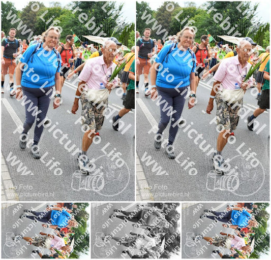 Evenement foto: Nijmeegse Vierdaagse 723