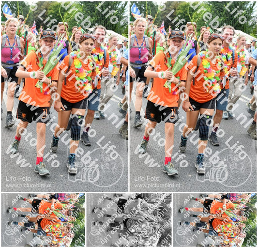 Evenement foto: Nijmeegse Vierdaagse 723