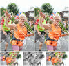 Evenement foto: Nijmeegse Vierdaagse 723