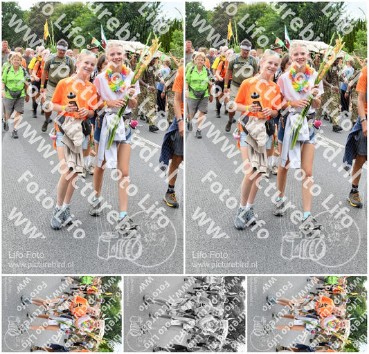 Evenement foto: Nijmeegse Vierdaagse 723