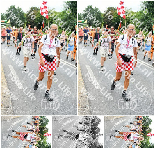 Evenement foto: Nijmeegse Vierdaagse 723