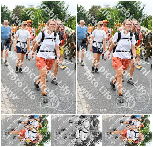 Evenement foto: Nijmeegse Vierdaagse 723