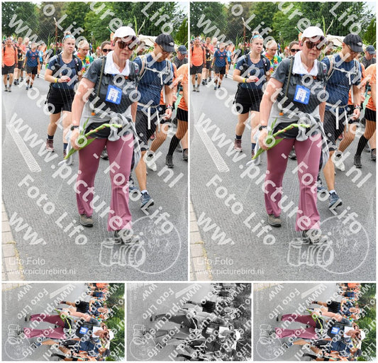 Evenement foto: Nijmeegse Vierdaagse 723