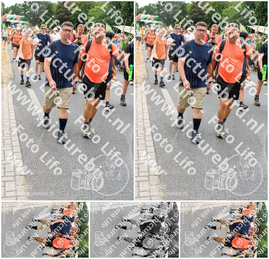 Evenement foto: Nijmeegse Vierdaagse 723