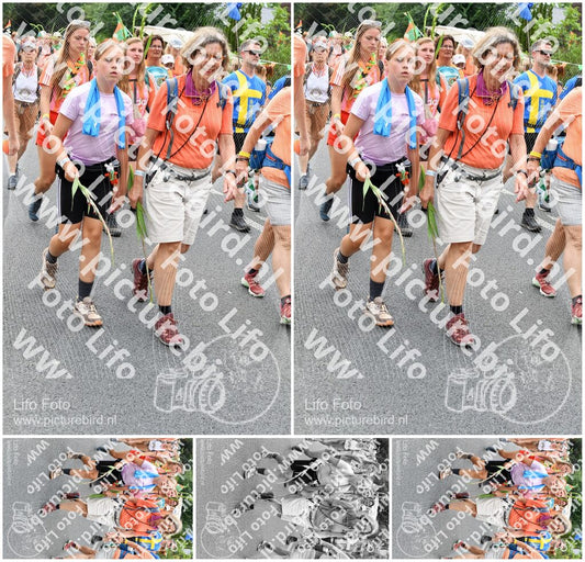 Evenement foto: Nijmeegse Vierdaagse 723
