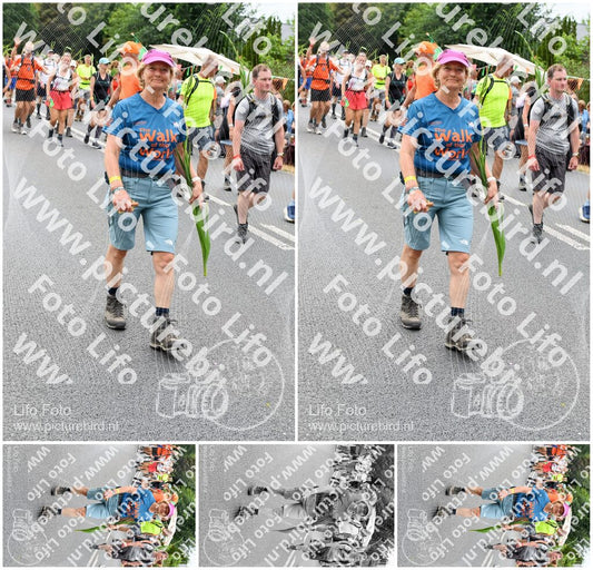 Evenement foto: Nijmeegse Vierdaagse 723