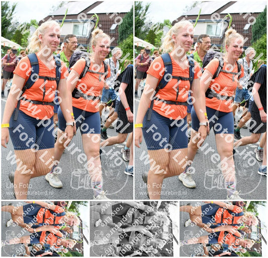 Evenement foto: Nijmeegse Vierdaagse 723