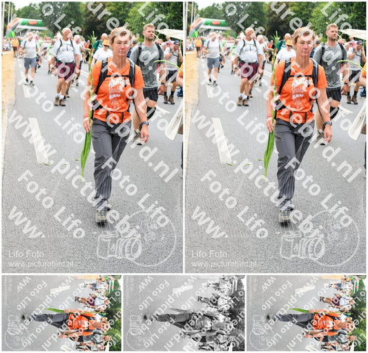 Evenement foto: Nijmeegse Vierdaagse 723