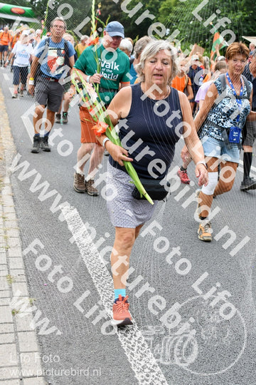 Evenement foto: Nijmeegse Vierdaagse 722