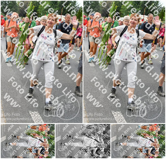 Evenement foto: Nijmeegse Vierdaagse 722