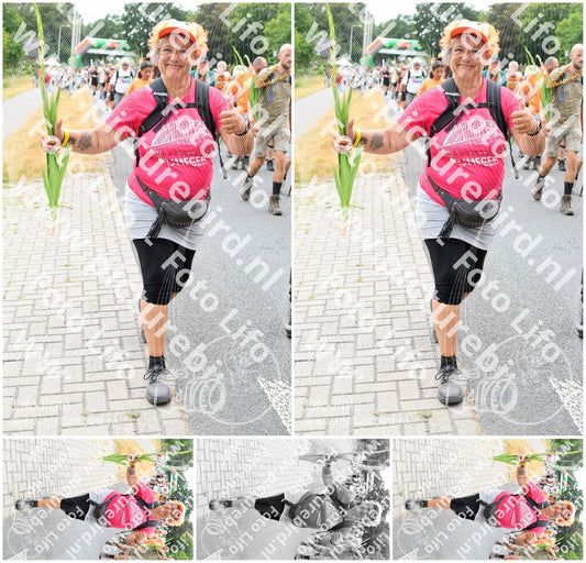 Evenement foto: Nijmeegse Vierdaagse 722