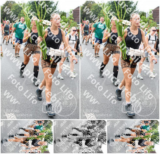 Evenement foto: Nijmeegse Vierdaagse 722